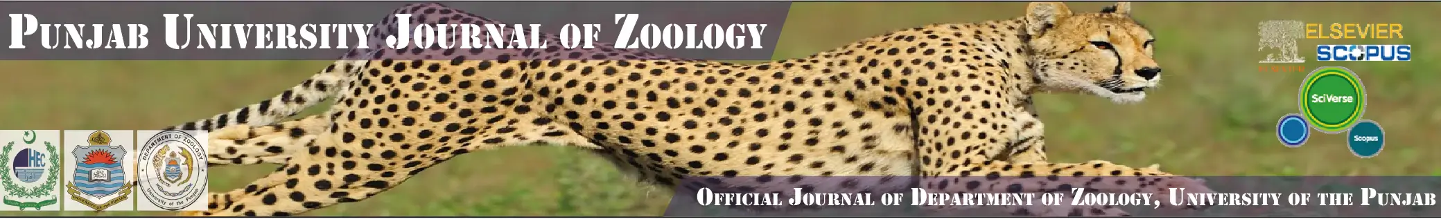 Punjab University Journal of Zoology